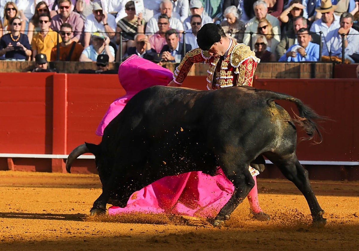 Don Fermín Bohórquez Escribano