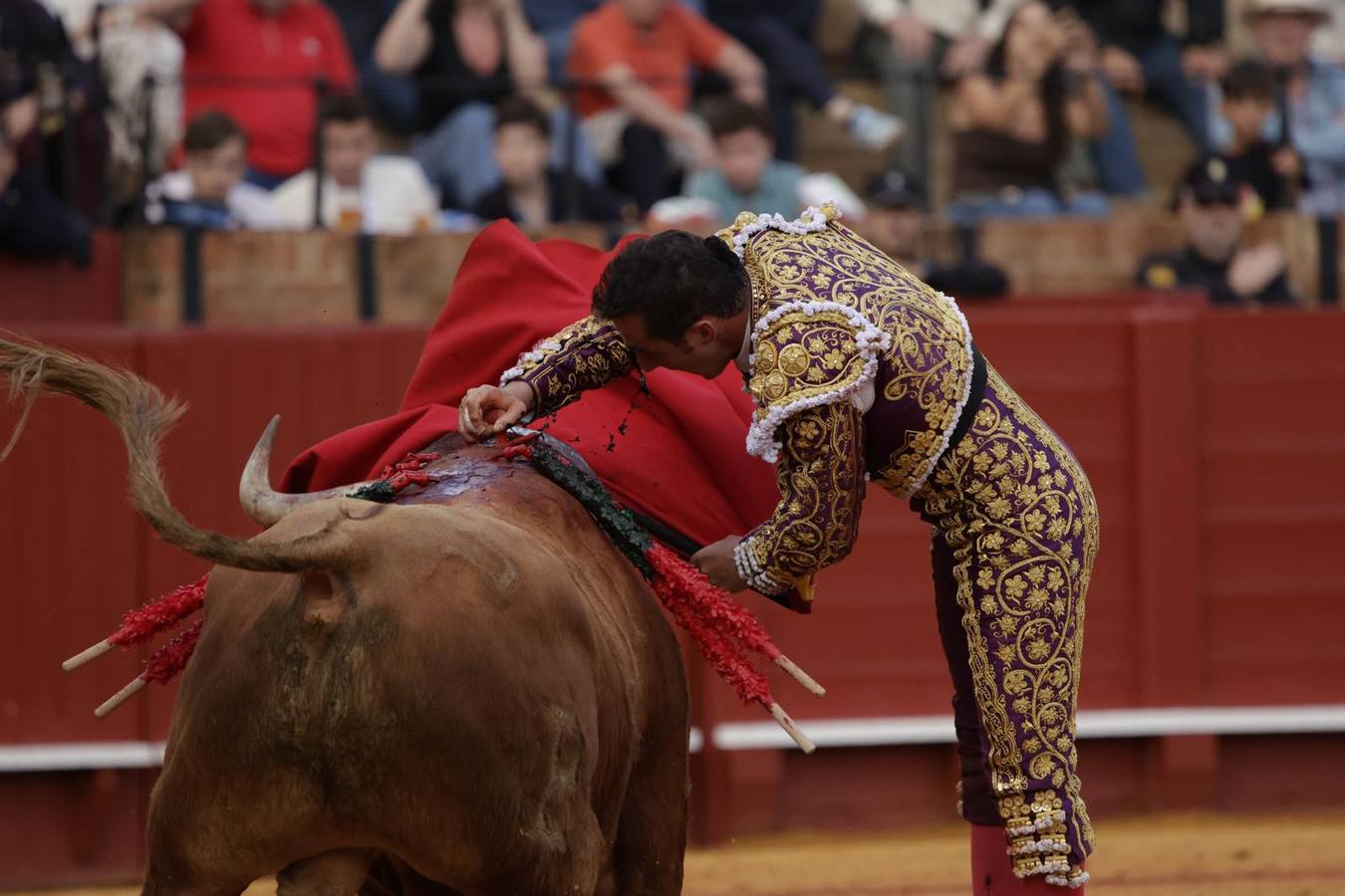 El Fandi, con los toros de Alcurrucén que le tocaron en suerte