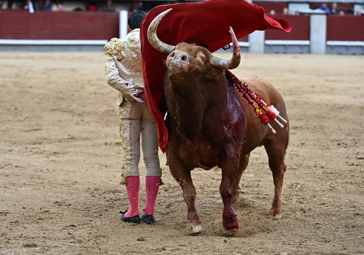 Álvaro Lorenzo, por ceñidas bernadinas en el tercero