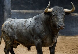 Amplia corrida de Victorino para el encontronazo entre Daniel Luque y Manuel Escribano en la Maestranza