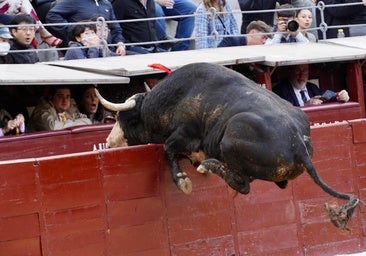 Las Ventas: las vacas no estarán orgullosas de sus hijos