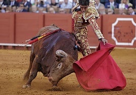 Lección magistral de Perera ante la bravura extrema de Santi Domecq: Anárquico, un toro para toreros machos