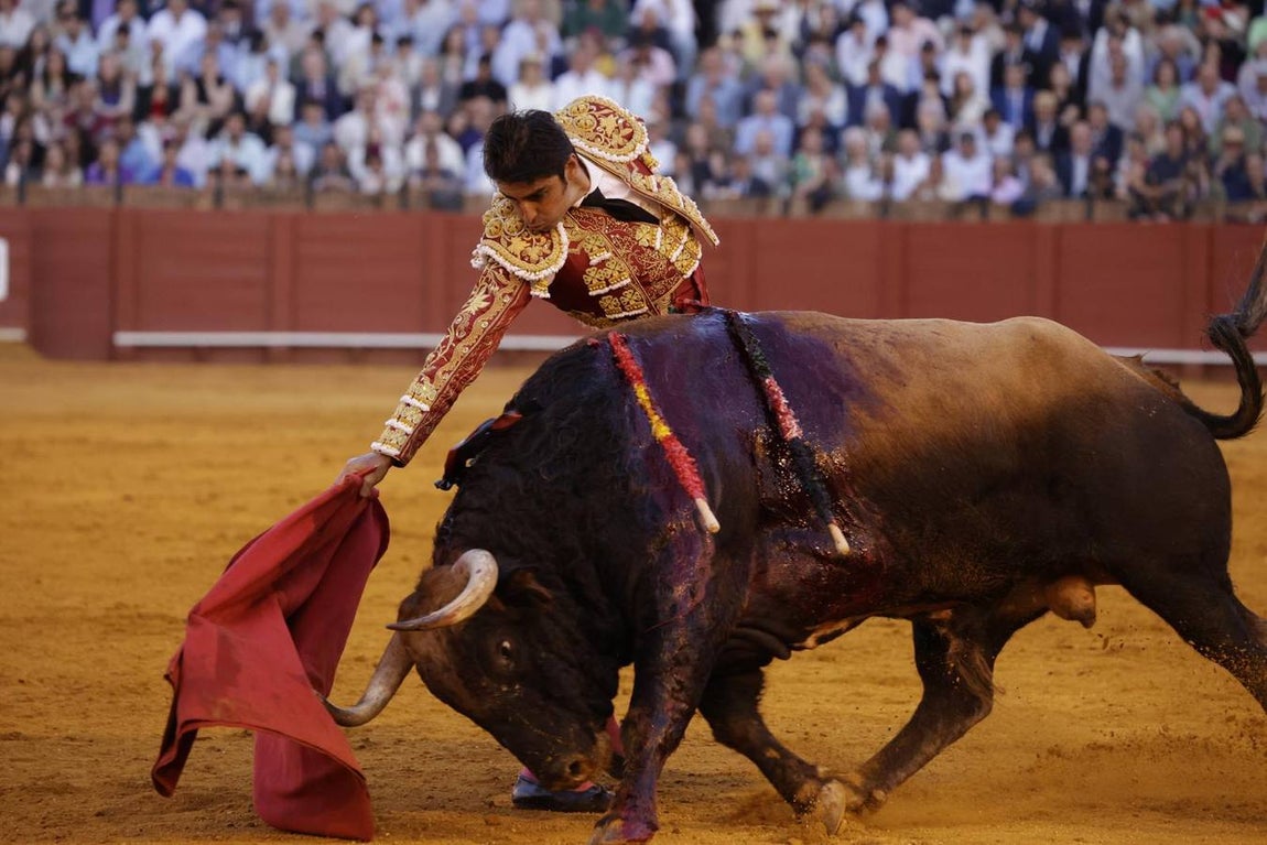 El quinto toro fue para Perera