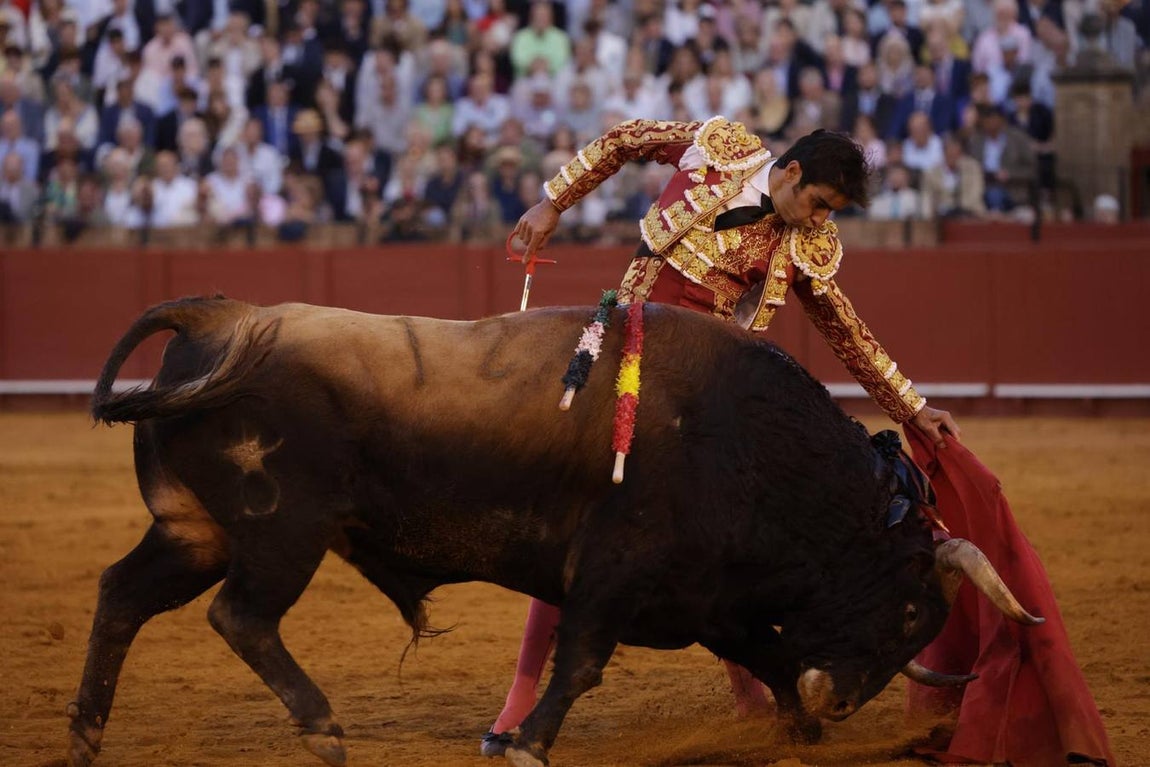 El quinto toro fue para Perera
