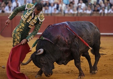 El torero improvisó momentos de enjundia como esta sentida trincherilla ante el quinto de Miura