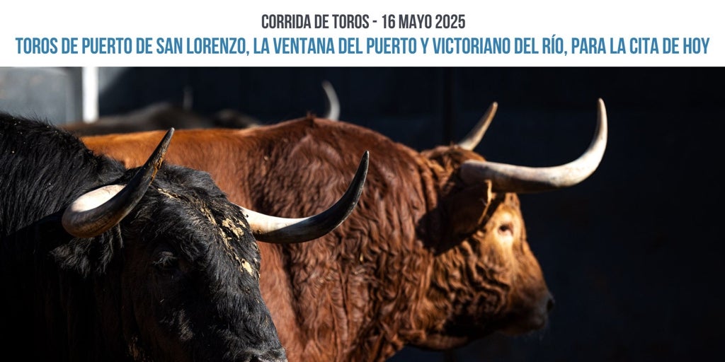 San Isidro: así fue el baile de corrales del Día de la Tauromaquia