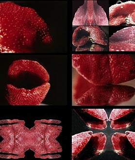 Imagen secundaria 2 - En las imágenes, la autora en el Museo Reina Sofía, y algunas de sus obras contenidas en la retorspectiva que le dedica este espacio