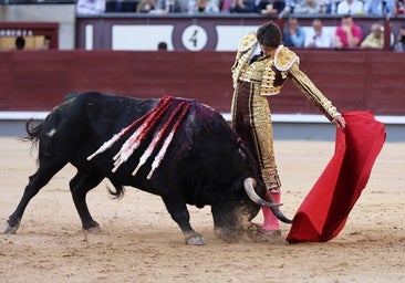 ¡Qué duras son las resacas en corridas descafeinadas!
