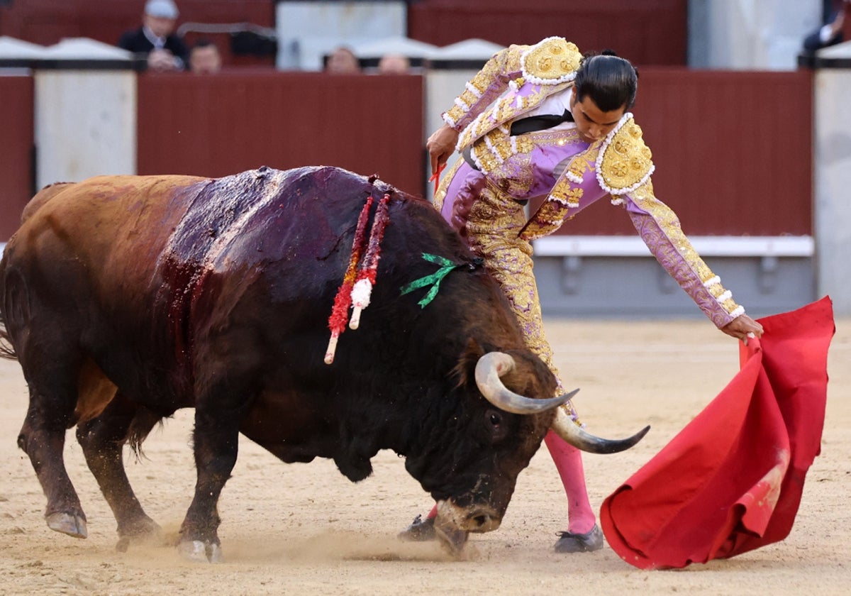 Diego San Román y su puro aplomo al natural