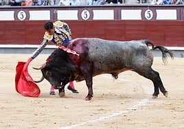 Gómez del Pilar, valor y querer hasta el triunfo