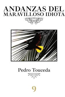 Imagen - 'Andanzas del maravilloso idiota'