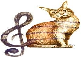 Para no parecer un gato