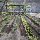 La 'Casa del Perfumista' vuelve a florecer más de 2.000 años después en Pompeya
