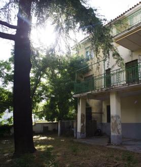 Imagen secundaria 2 - De arriba abajo: Mariano de Paco en la biblioteca de Aleixandre, la entrada de la casa y el jardín con el cedro libanés del poeta