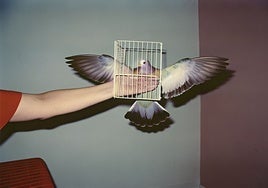 Imagen creada con inteligencia artificial por la artista para la exposición