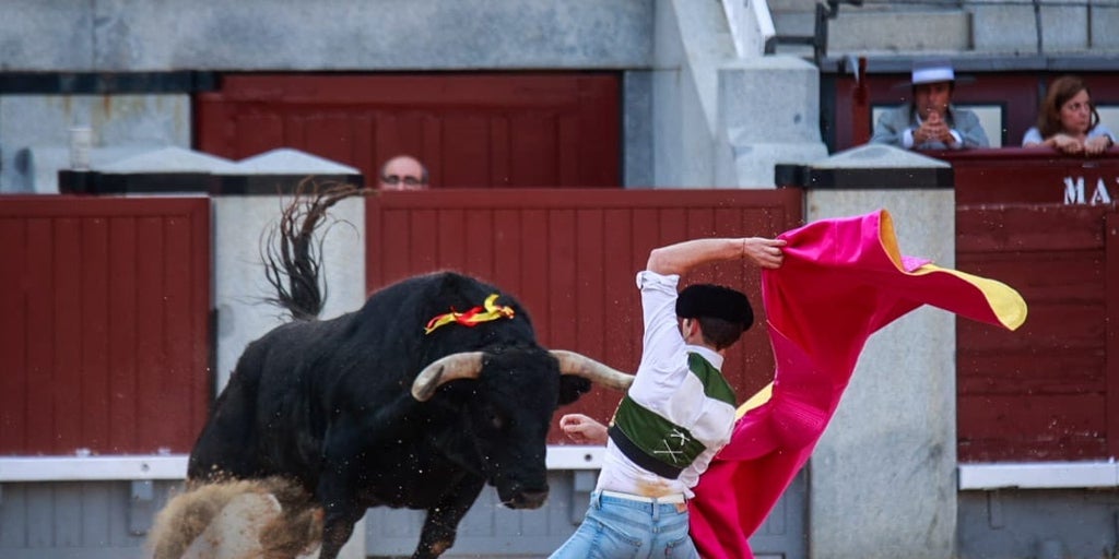 Luis David y Molina: vergüenza torera sin recompensa en una accidentada corrida