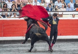 Se hacen oficiales los carteles de Bilbao, colgados ayer en la web de la empresa