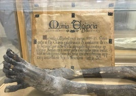 El misterio de la momia perdida en la Universidad Complutense