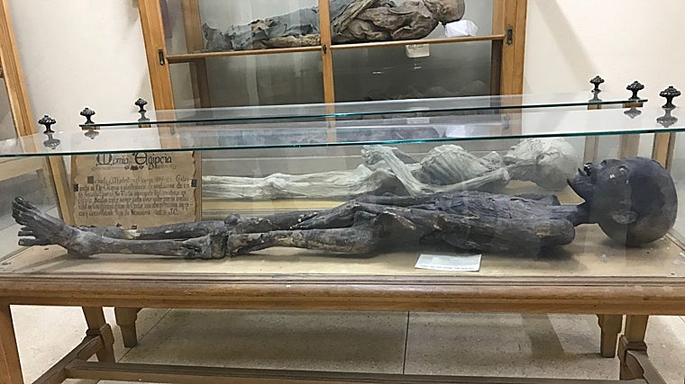 La momia egipcia en la Facultad de Medicina de la UCM hace unos años
