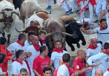 Álvaro Núñez, en RTVE: «Es maravillosa la atención a los encierros, pero reclamo la misma a las corridas»