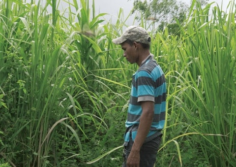 Imagen secundaria 1 - De arriba abajo, tres de las propuestas de la muestra de vídeo de la bienal en el Museo Reina Sofía: 'Miles marchan' (2018-2021), de Sebastián Díaz Morales; 'Ficciones de tierra caliente', de Francisca Jiménez Ortegate; y 'Llena de esperanza, Condena' (2002-2003), de Silvia Ribas