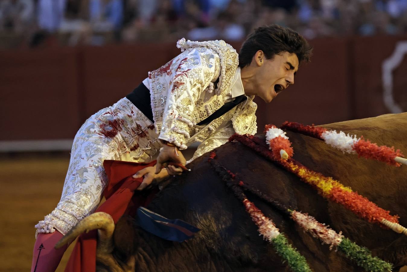 Manuel Quintana, de la Escuela Círculo Taurino de Córdoba, vuelta tras petición de oreja