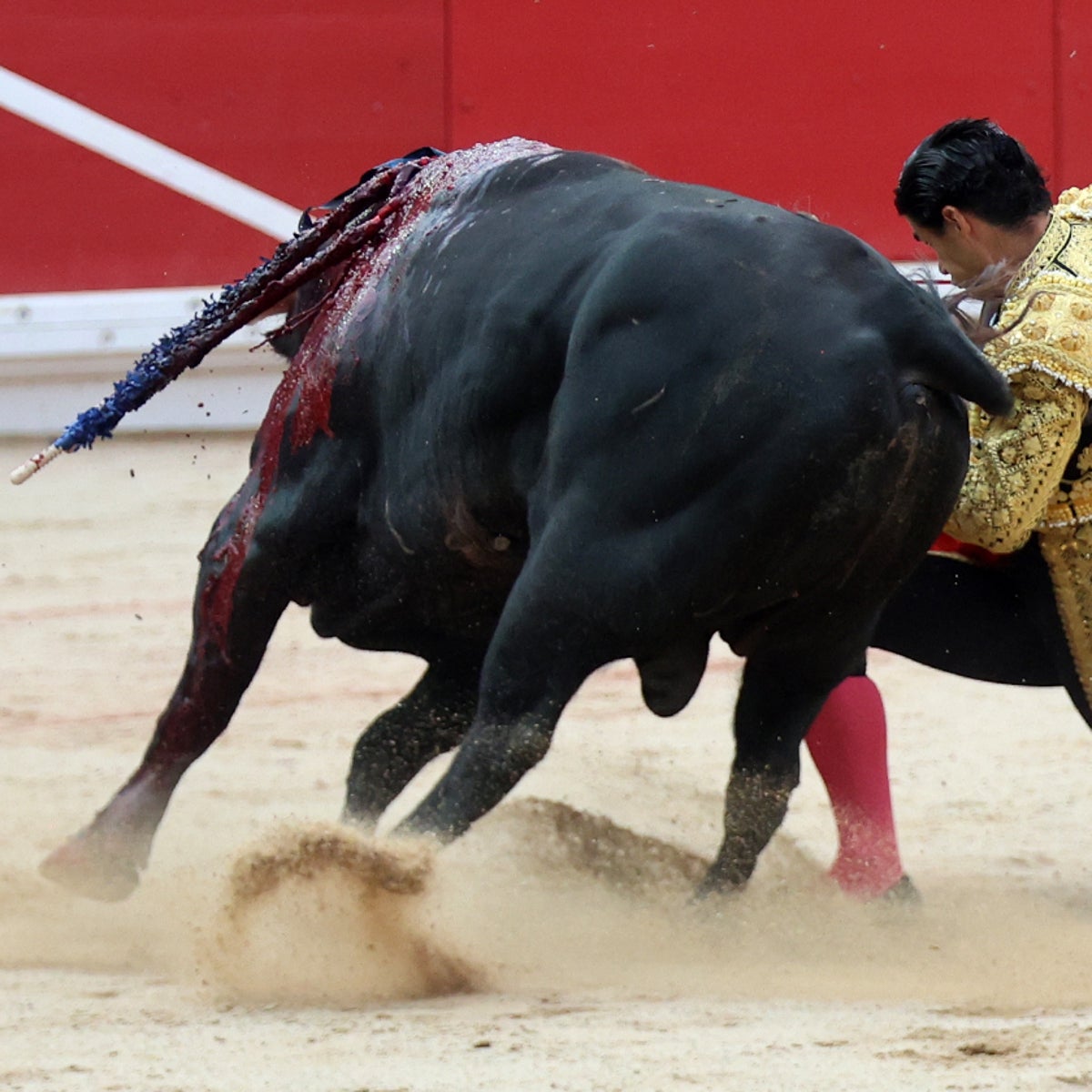 Pablo Aguago, torerísimo rodilla en tierra