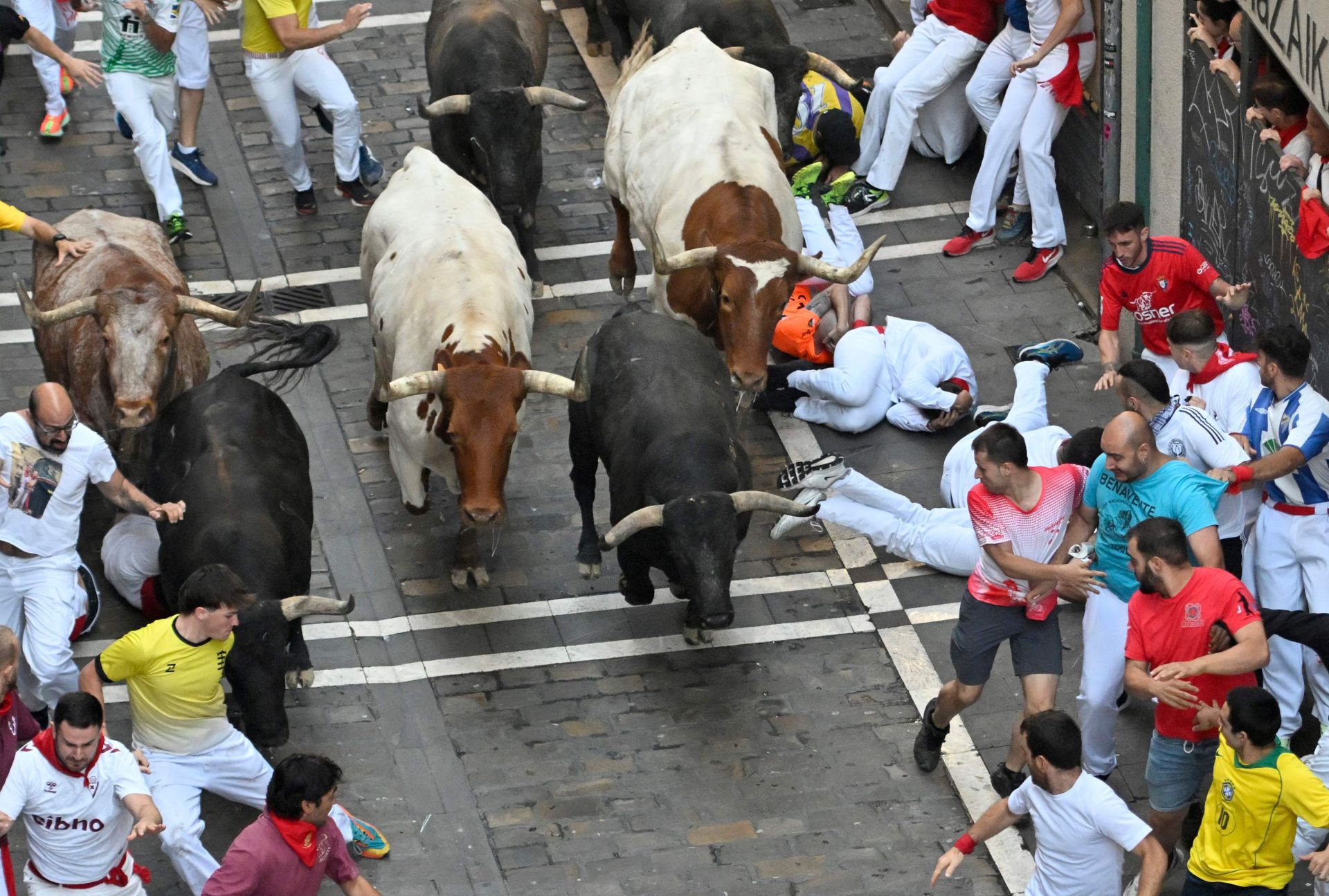 Los Miuras camino de la Monumental de Navarra, en el último encierro de este año.