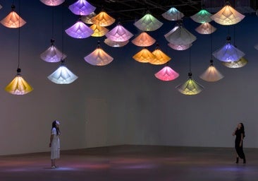 Un oasis natural de luz y de color en el MUSAC