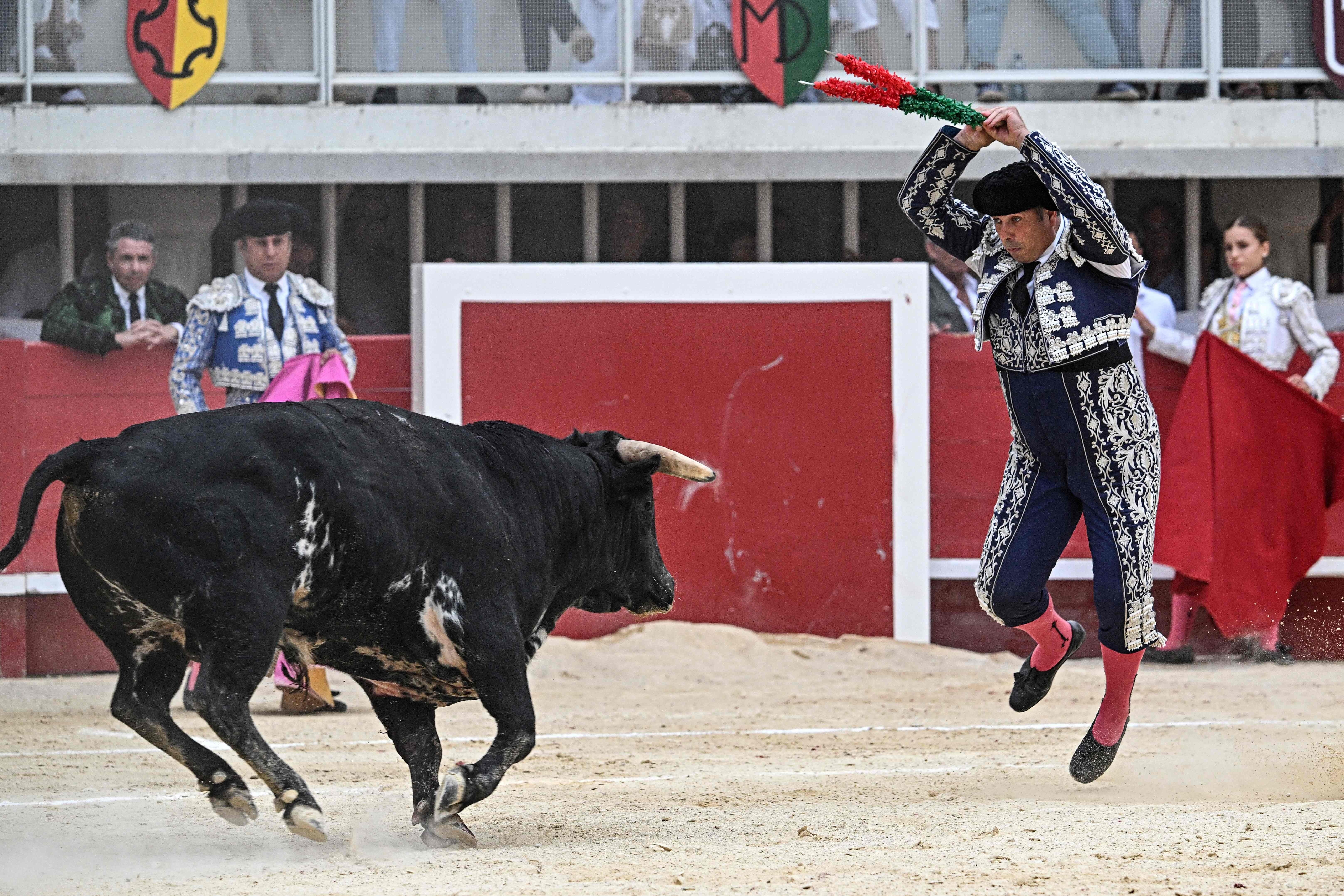 Cuánto dinero cobra un banderillero en España por corrida en 2025: sueldos por categoría