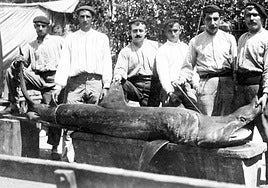 1918: El verano en que los tiburones acecharon las playas españolas