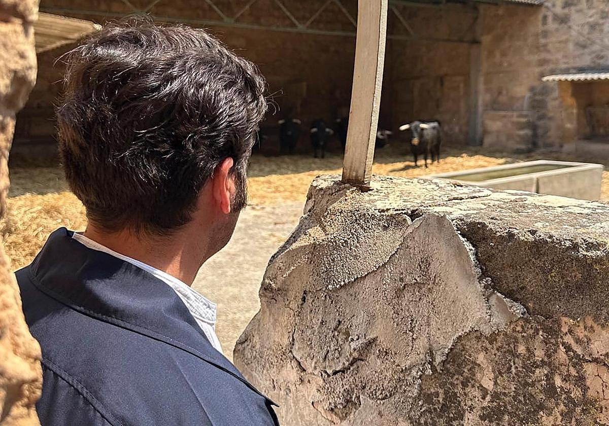 Morante de la Puebla, en los corrales del coliseo balear