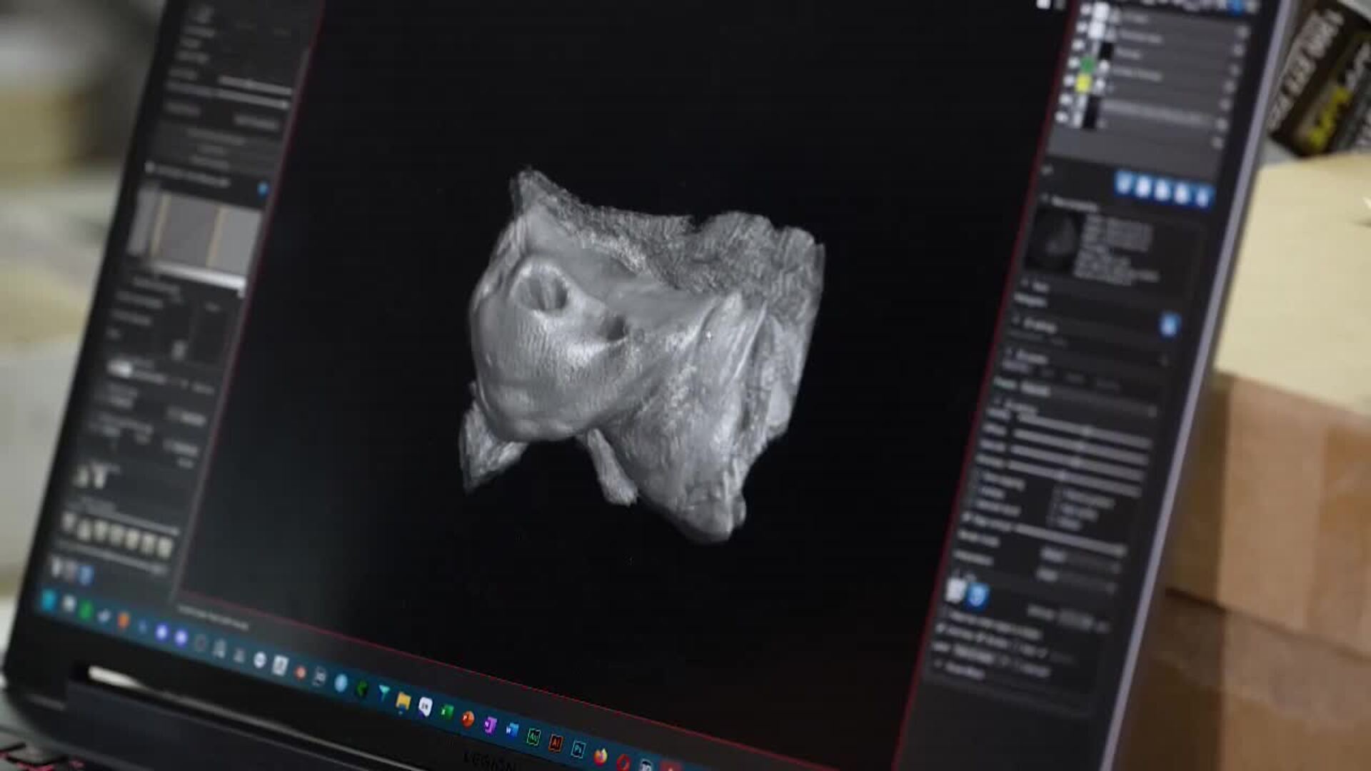 Descubren una ballena extinta con dientes afilados y ojos del tamaño de pelotas de tenis