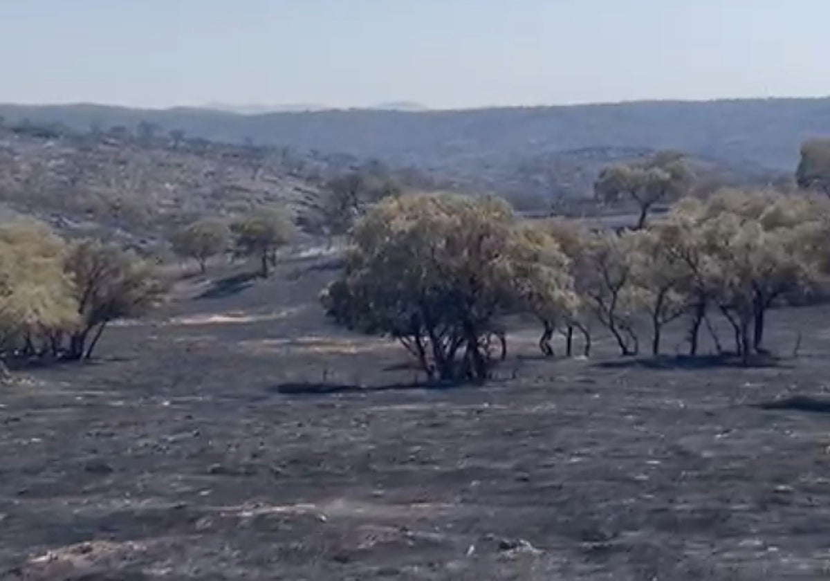 Así ha quedado la finca de Los Quintos