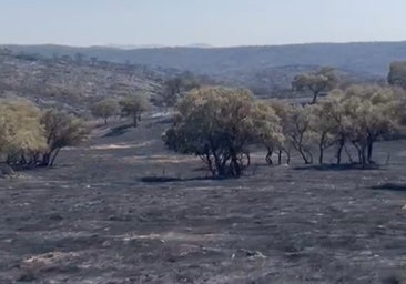 Arde la finca brava de Jandilla: «Ningún ecologista ha venido a salvar las vacas»