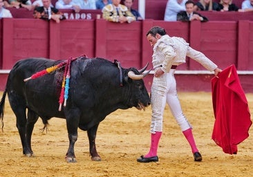 El gran impacto de la Feria de Málaga: David de Miranda se olvida del cuerpo