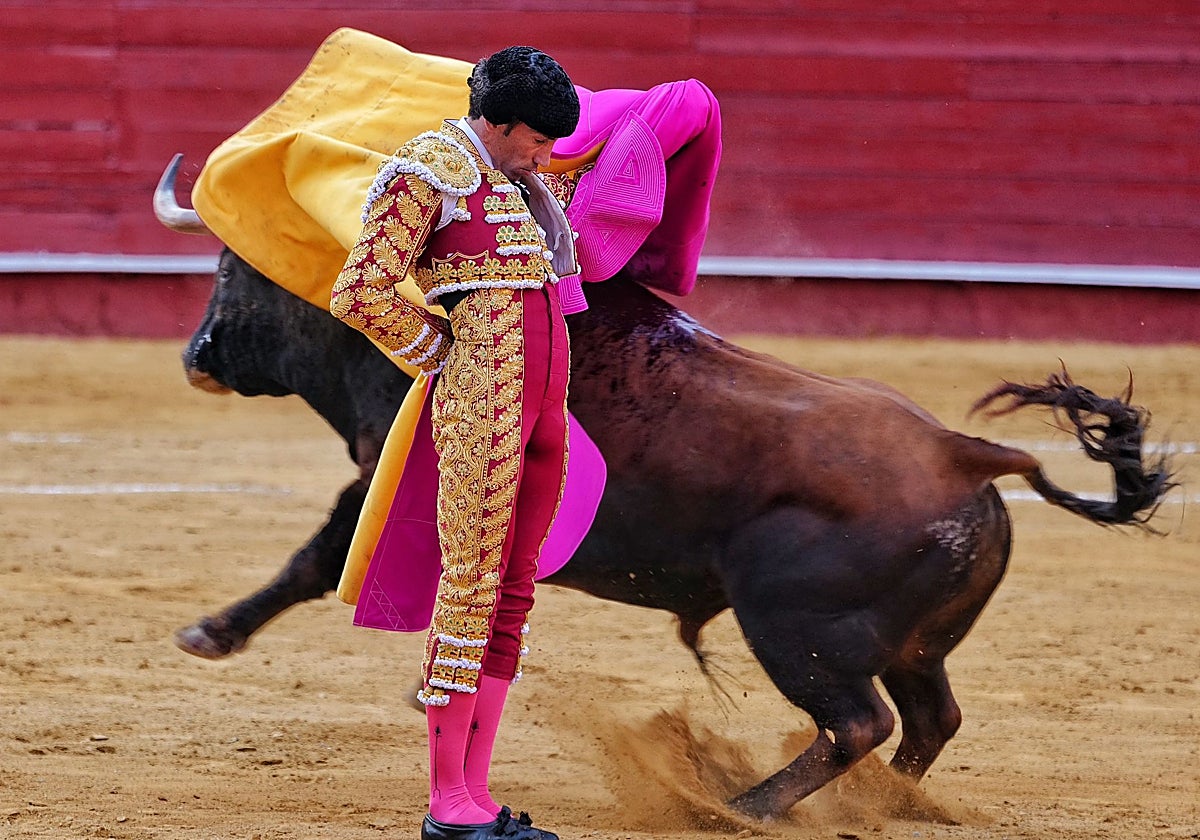 David de Miranda, estoico en un quite por saltilleras