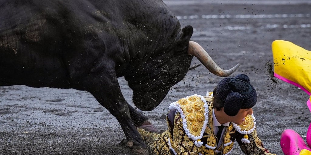 Roca Rey reaparecerá el martes en Palencia tras se pisoteado en Bilbao por un toro de más de 500 kilos