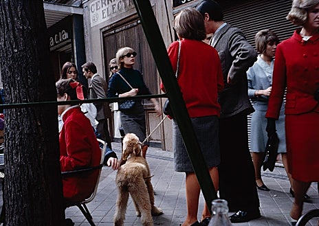 Imagen secundaria 1 - Arriba, 'Paraíso perdido', 2024, de Adriana Loureiro Fernández. Sobre estas líneas, a la izquierda, 'Calle Serrano',