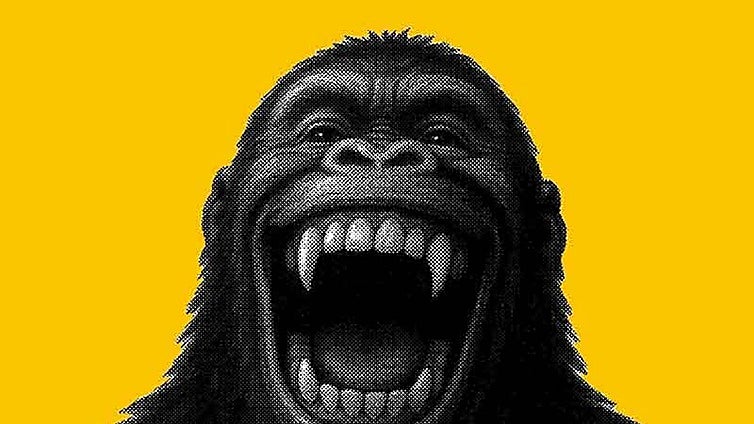 King Kong se encarama al Ja! con un programa que mira a Nueva York