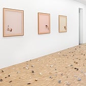 Apertura fue, sobre todo, cosa de ellas