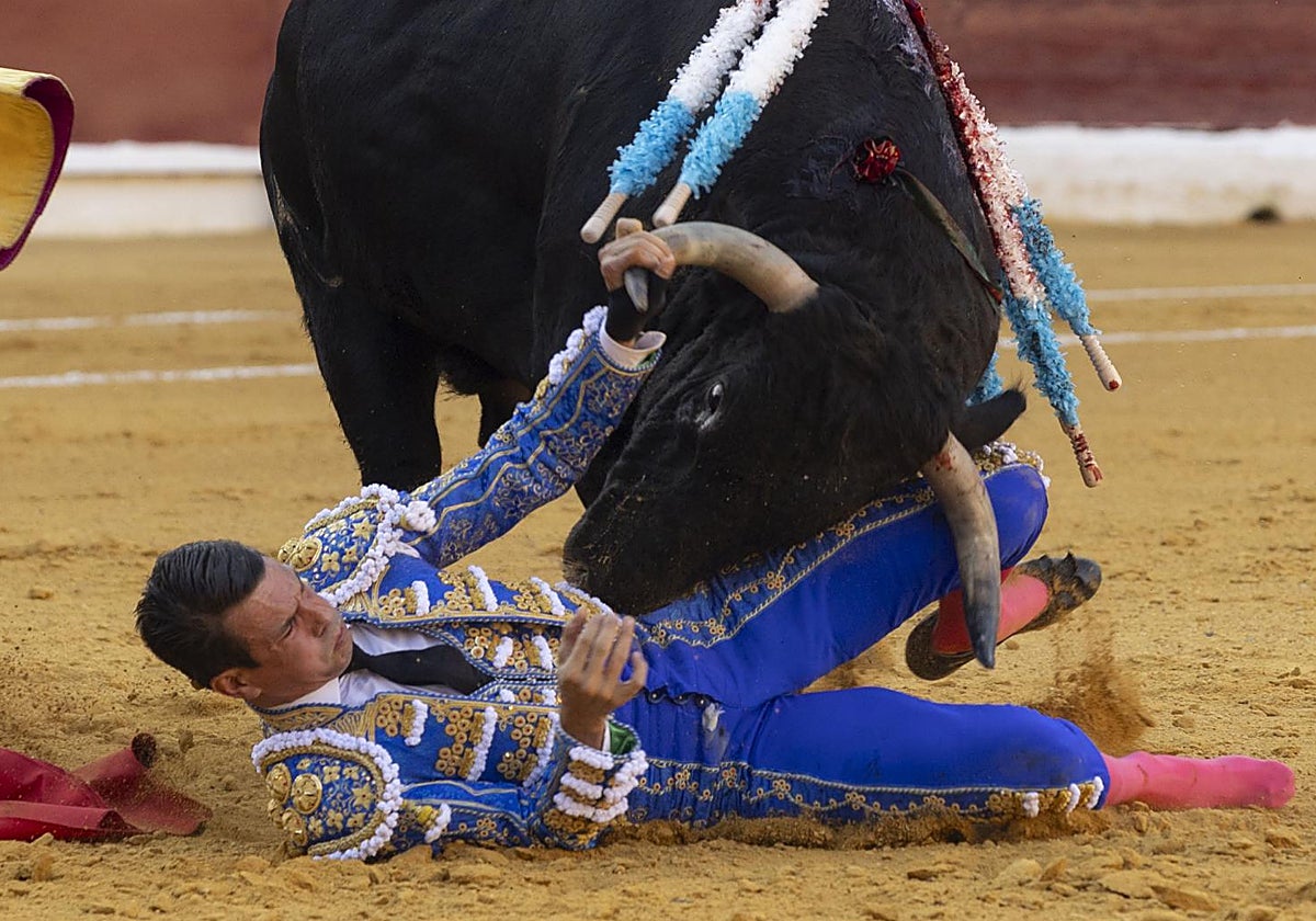 Manzanares, a merced del toro en Murcia