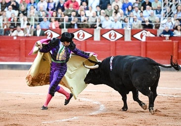 Morante de la Puebla hechizó hasta a la rana de Salamanca