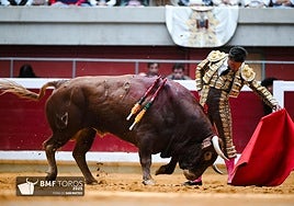 De la soberbia madurez de Urdiales a la ambición sin freno de Aarón Palacio
