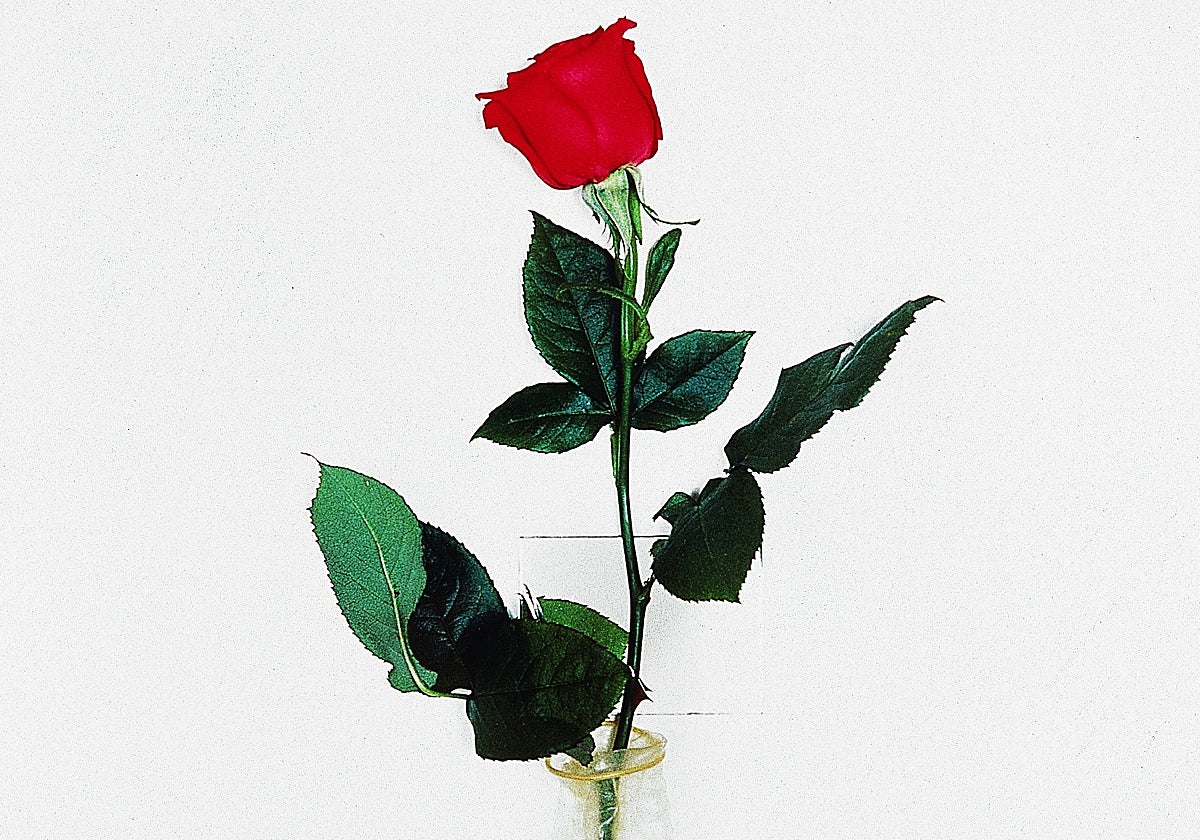 'Rosa, espejo y condón', de Juan Hidalgo