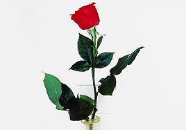 'Arte de Eros': La poética carnal de Juan Hidalgo