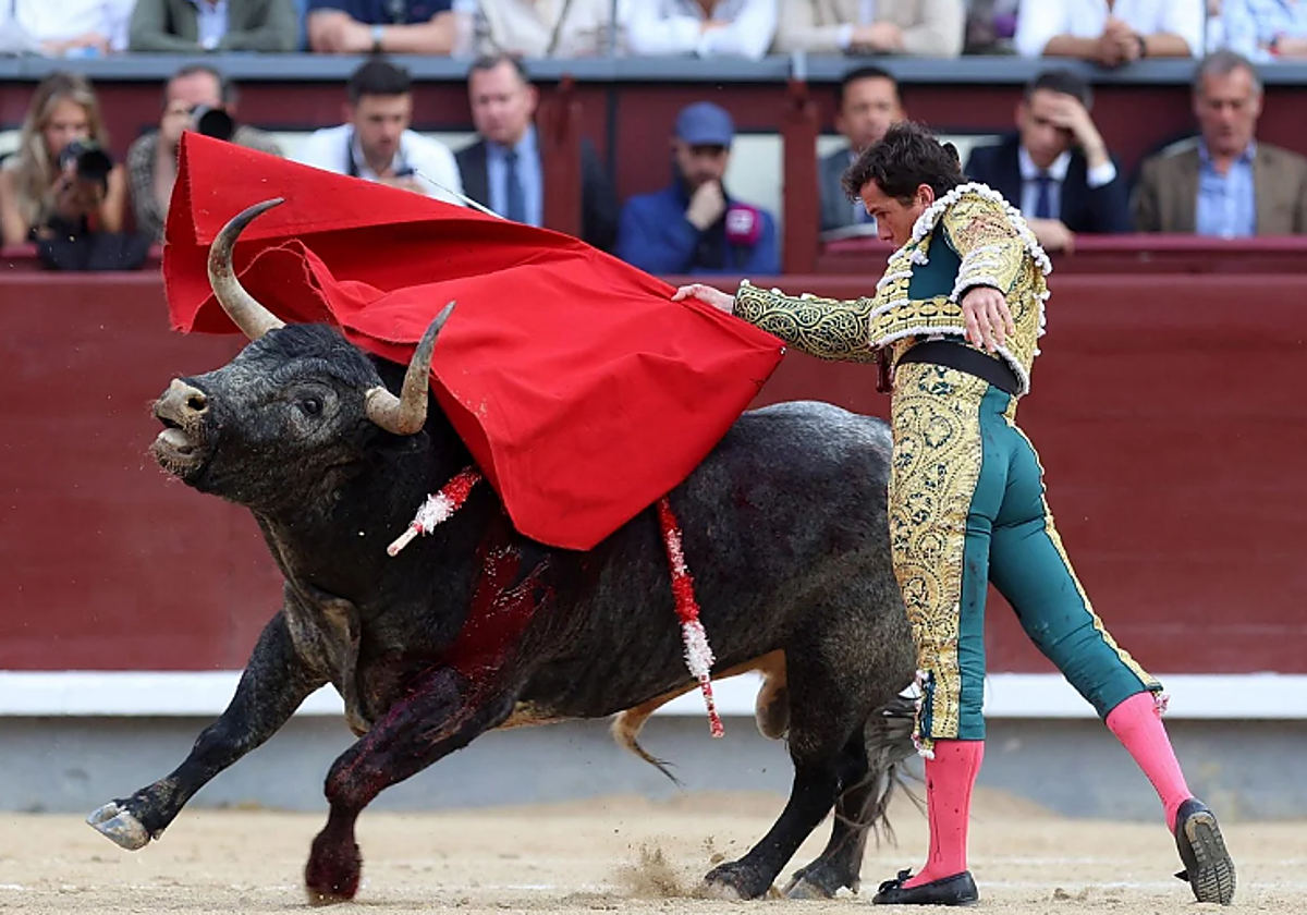 La nueva cita con los toros en Madrid