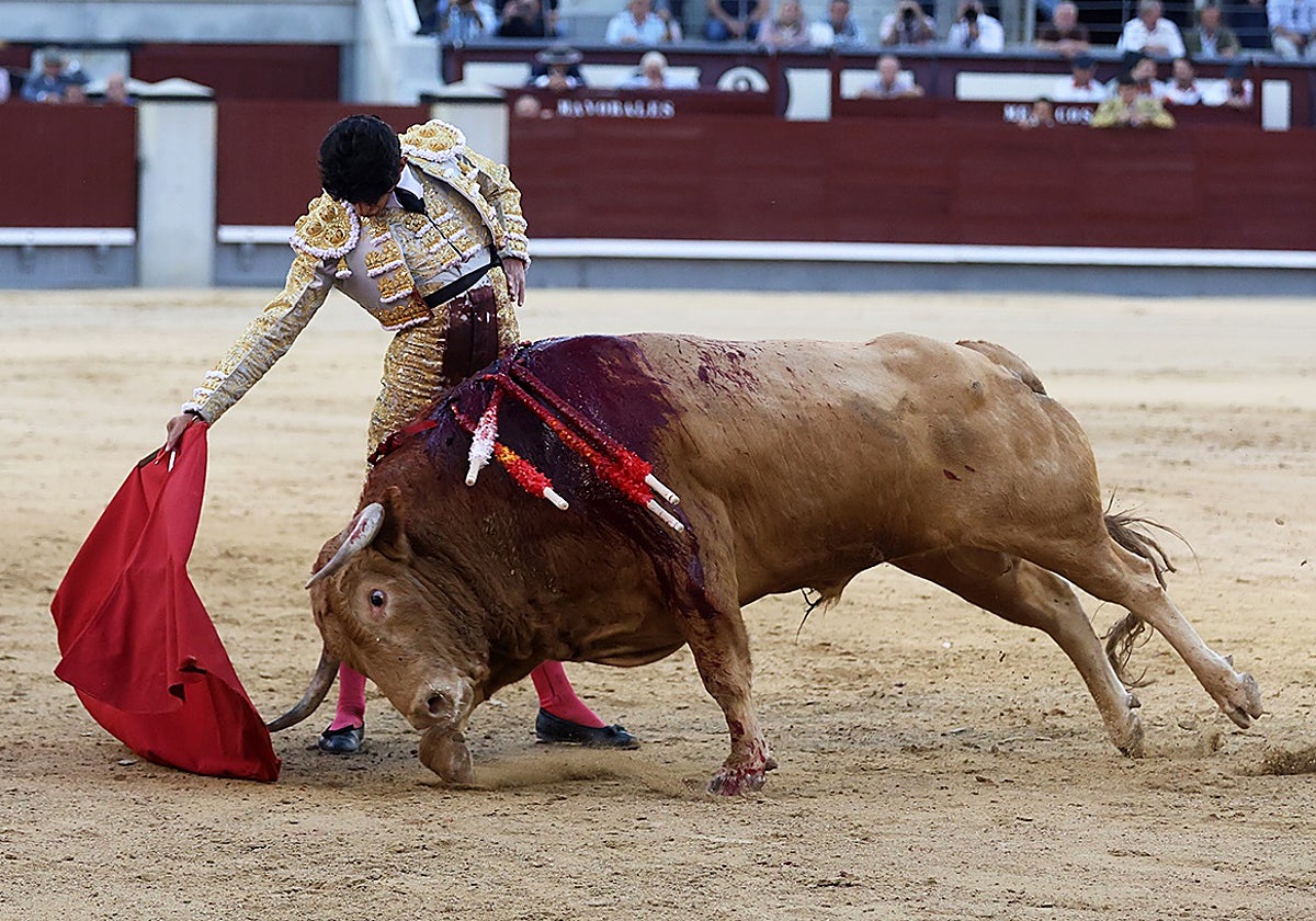 Derechazo de Emiliano Osornio al melocotón quinto, en una humilladora embestida, pero se acabó pronto