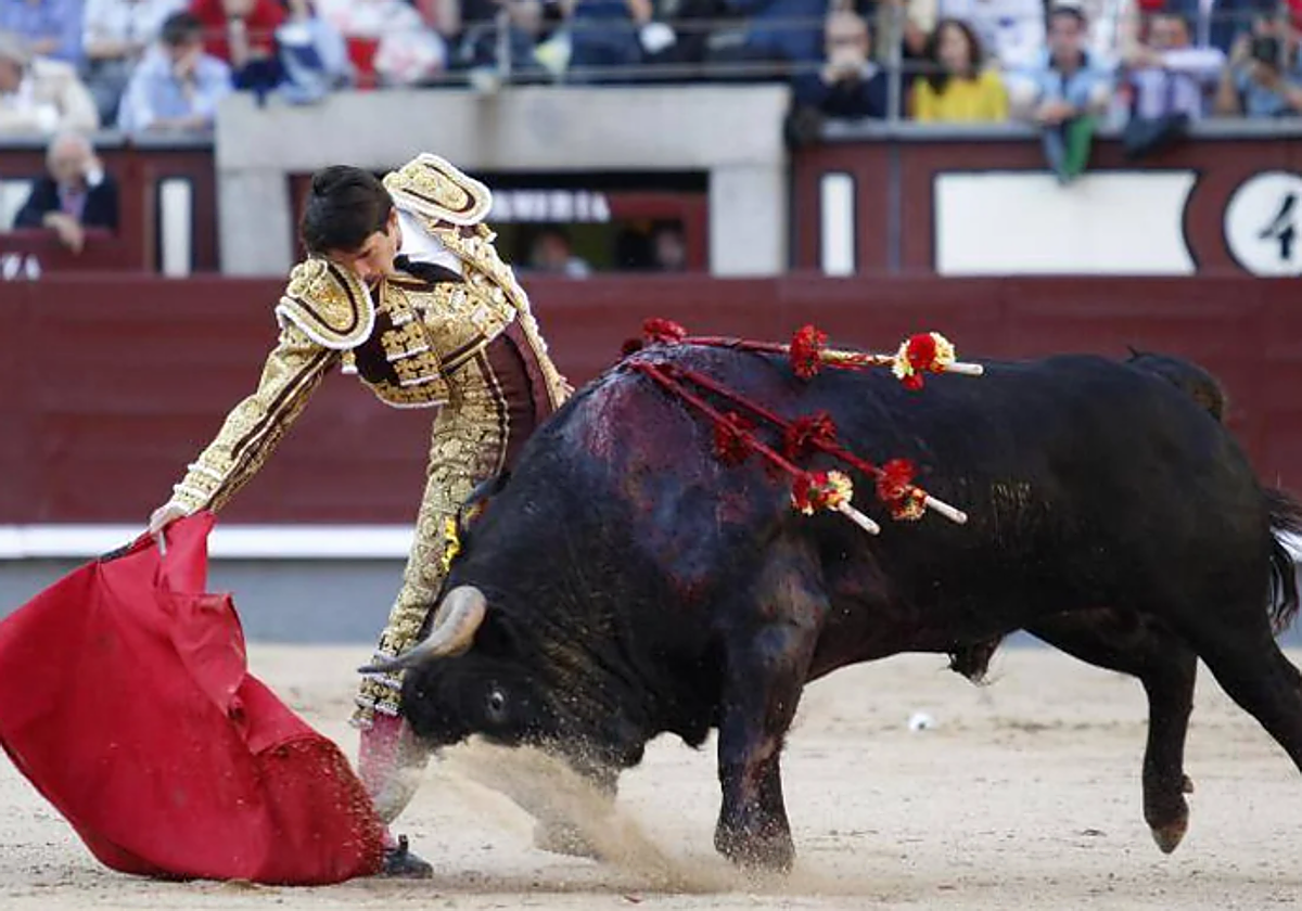 Una nueva cita con los toros