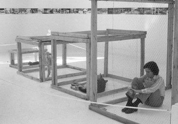 Fina Miralles, premio Nacional de Artes Plásticas